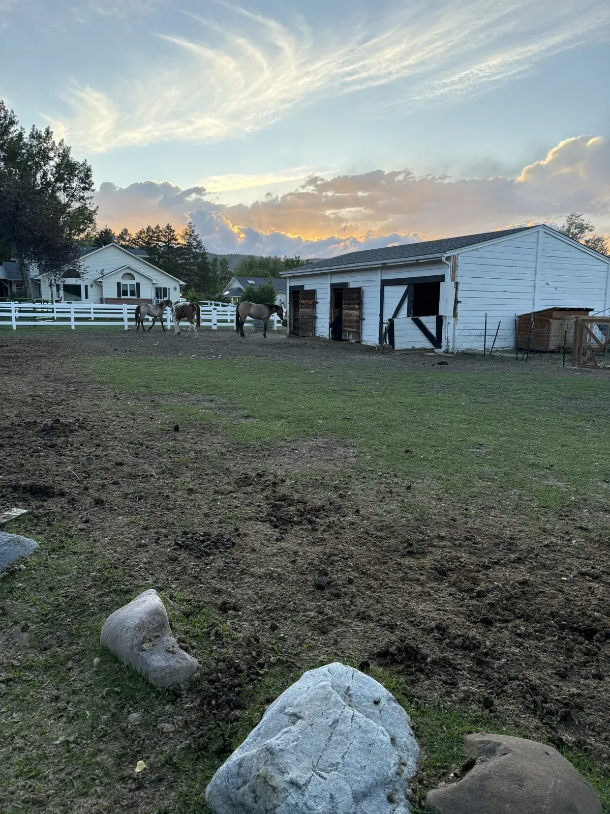 The barn and open pasture in the early morning