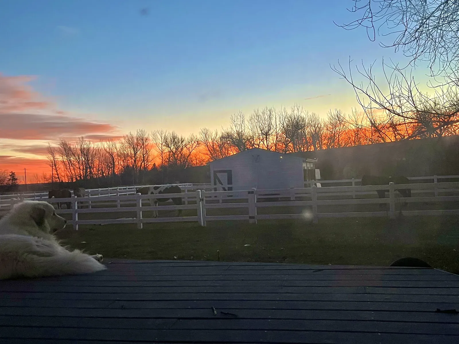 Sunset over the fence line and pasture