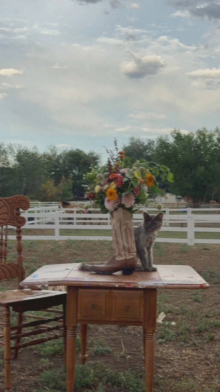 A large flower arrangement on a table with a barn cat beside it