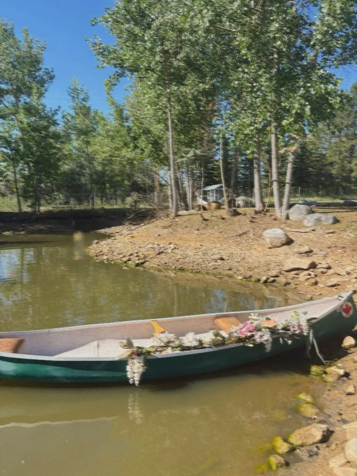 A canoe filled with flowers floating on the farm pond